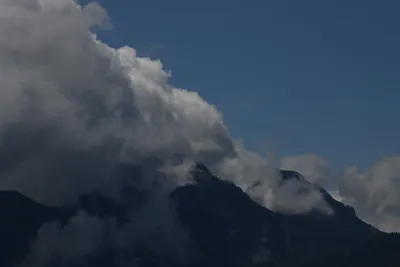 DSC_6274 (Large).JPG